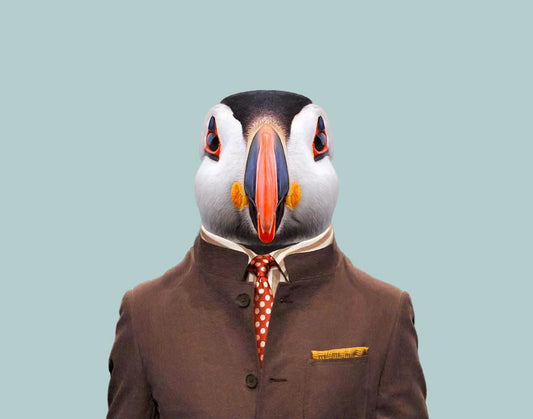 [Subscriptions] Puffin Concierge